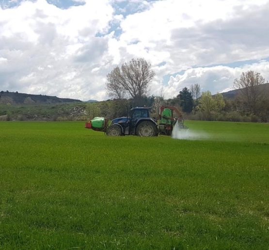 Los fitosanitarios, una herramienta segura e imprescindible para los agricultores Los fitosanitarios, una herramienta segura e imprescindible para los agricultores