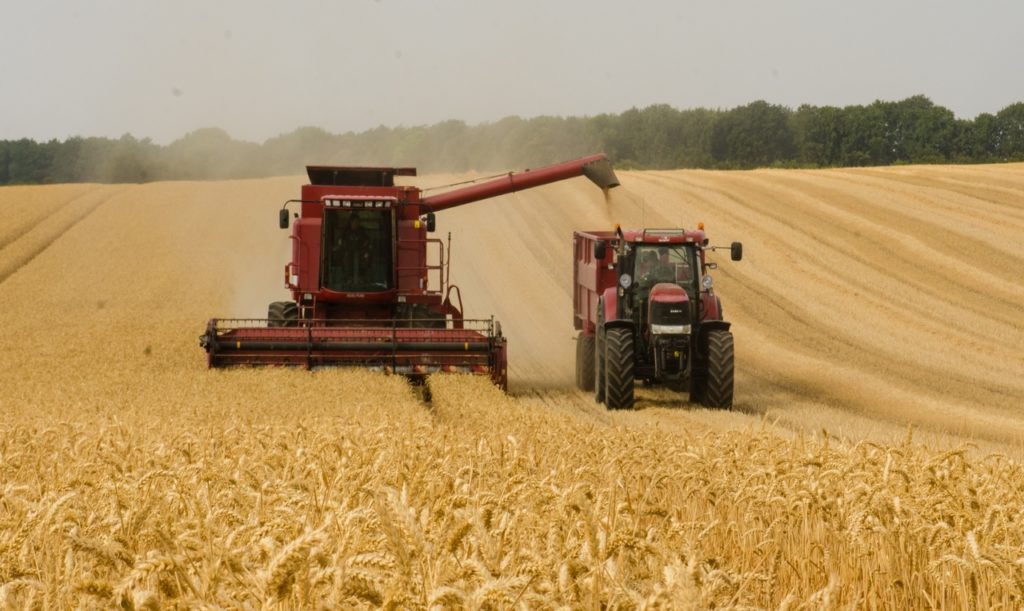 El rendimiento del trigo francés cae a su nivel más bajo en años El rendimiento del trigo francés cae a su nivel más bajo en años