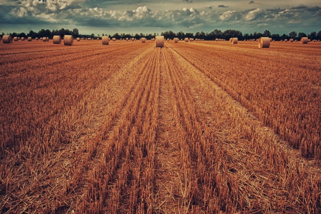 La agricultura española perdería 585 millones al año de fondos de la Unión Europea entre 2021 y 2027  