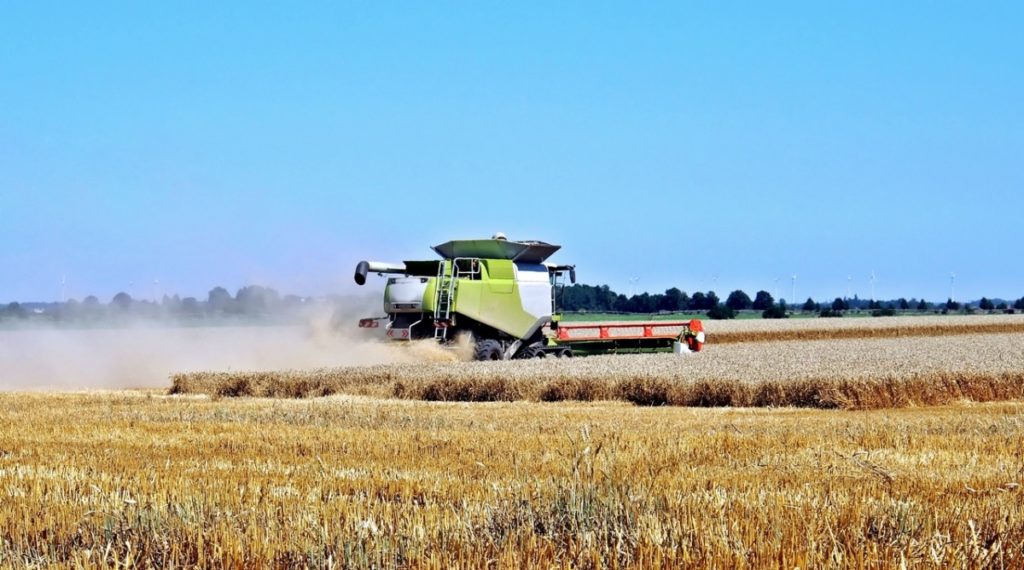 El sector agrícola es en el único que sube el paro El sector agrícola es en el único que sube el paro