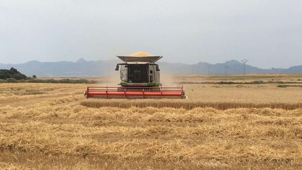 La distribución de las ayudas de la PAC no es la adecuada para mejorar la renta de agricultores y ganaderos de Aragón  