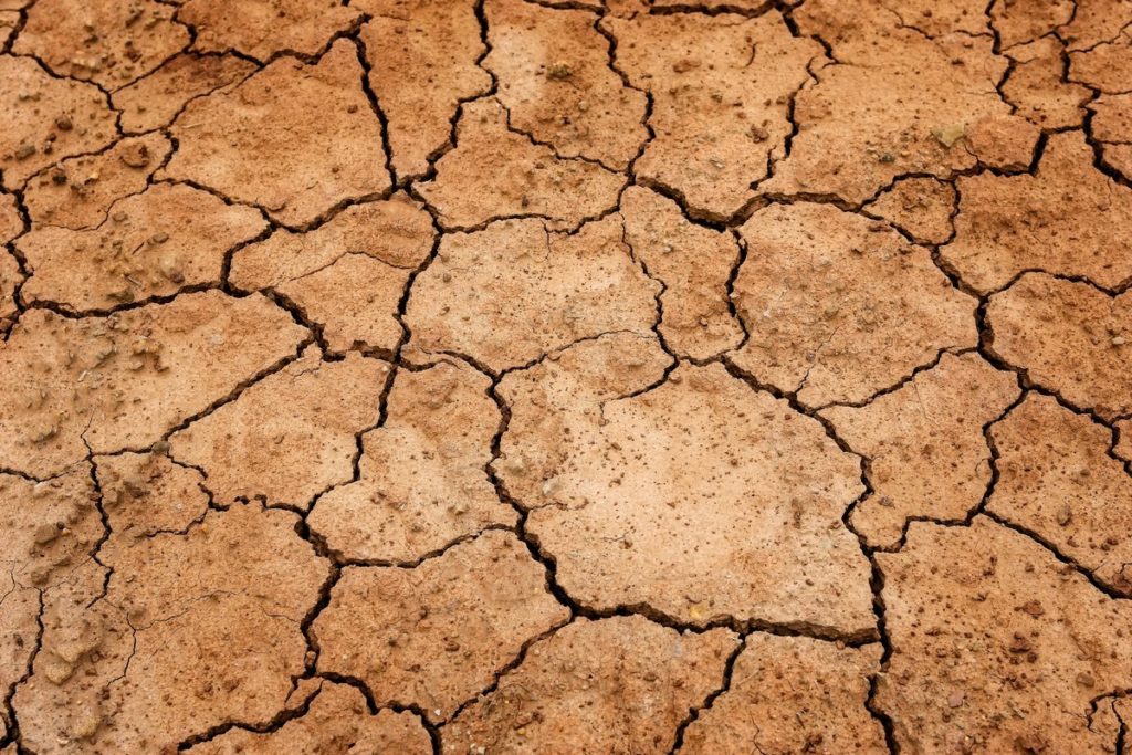 Una sequía histórica en Francia hunde la producción de cereales y los pastos  