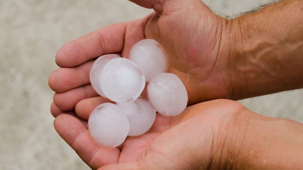 Tormentas de granizo dañan 2.500 hectáreas de maíz, alfalfa y girasol en Monegros, Somontano y Cinca Medio  