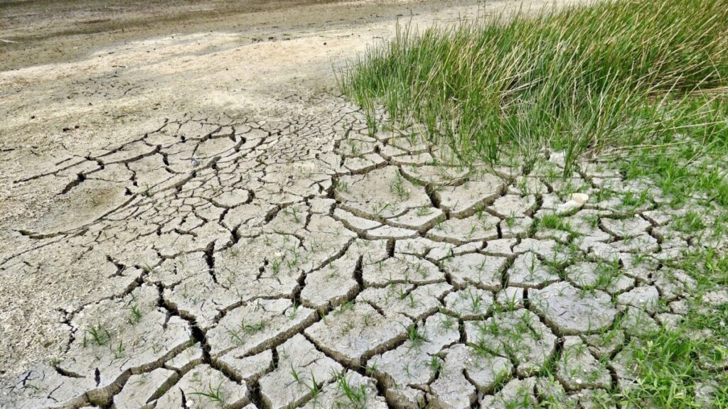 Importante aumento en la contratación de seguros agrarios Importante aumento en la contratación de seguros agrarios