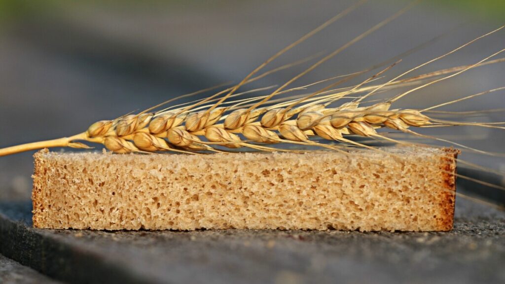La nueva ley de la cadena alimentaria encara la recta final La nueva ley de la cadena alimentaria encara la recta final