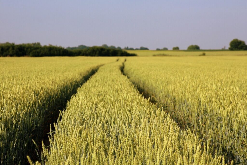 Barbastro acoge la tercera edición de CULTIVA, punto de encuentro para la experiencia agrícola  
