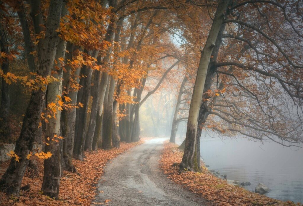 Tras un verano muy cálido y húmedo, llega a Aragón un otoño más cálido de lo normal  