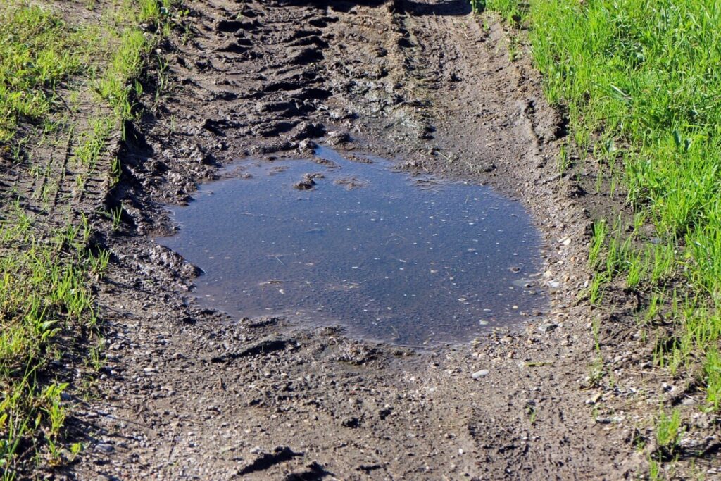 Las abundantes lluvias retrasan la siembra de cereal de invierno Las abundantes lluvias retrasan la siembra de cereal de invierno