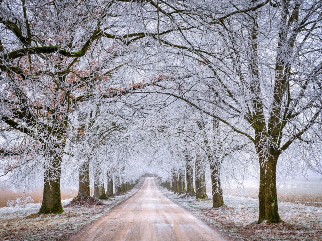 Un otoño muy húmedo y cálido da paso a un invierno que también será más cálido de lo normal Un otoño muy húmedo y cálido da paso a un invierno que también será más cálido de lo normal