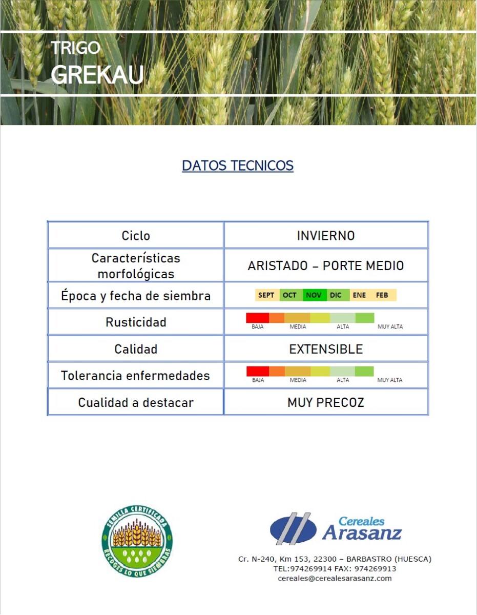 Trigo Grekau  