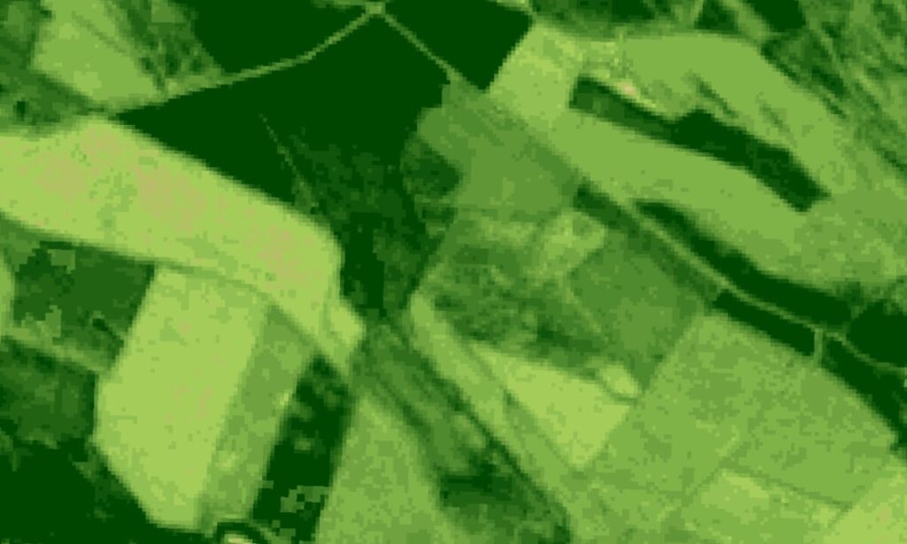 Las bondades de la “aplicación dirigida de herbicida en maíz” Las bondades de la “aplicación dirigida de herbicida en maíz”