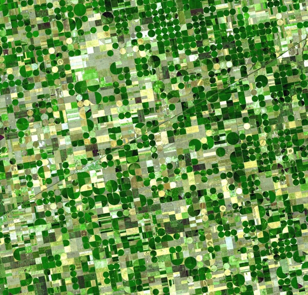 Agricultura digital: hacia una seguridad alimentaria sostenible Agricultura digital: hacia una seguridad alimentaria sostenible