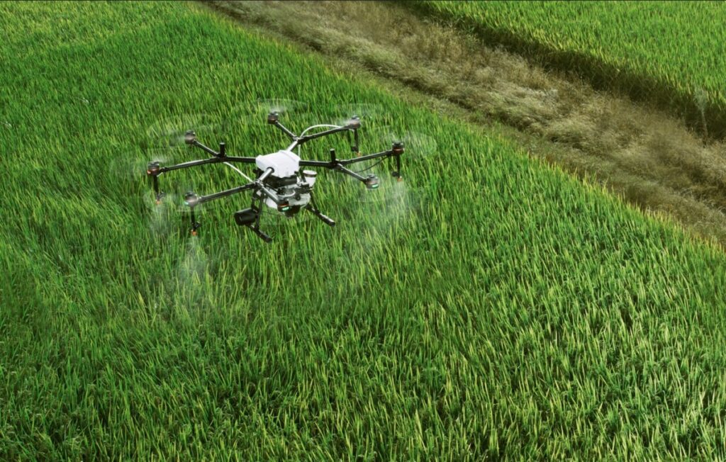 Piden un cambio de planteamiento en el uso de drones para tratamientos fitosanitarios Piden un cambio de planteamiento en el uso de drones para tratamientos fitosanitarios