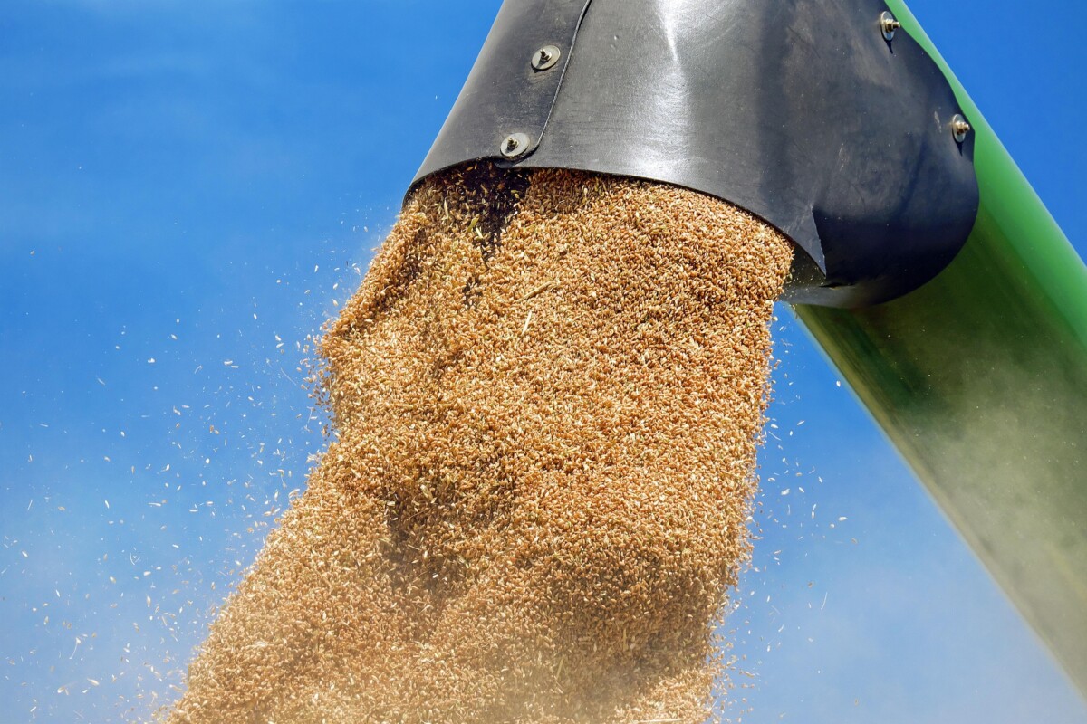 Asesoramiento agrario  